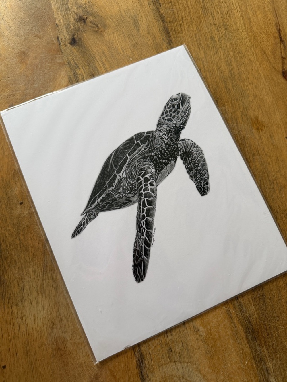 Black Ink Sea Turtle Art Print 8x10”